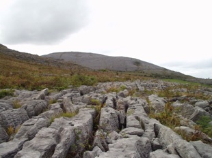 Limestone Pavement